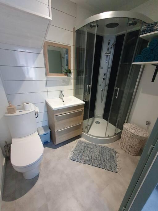 Roanne Centre, Appartement Refait A Neuf. Esterno foto