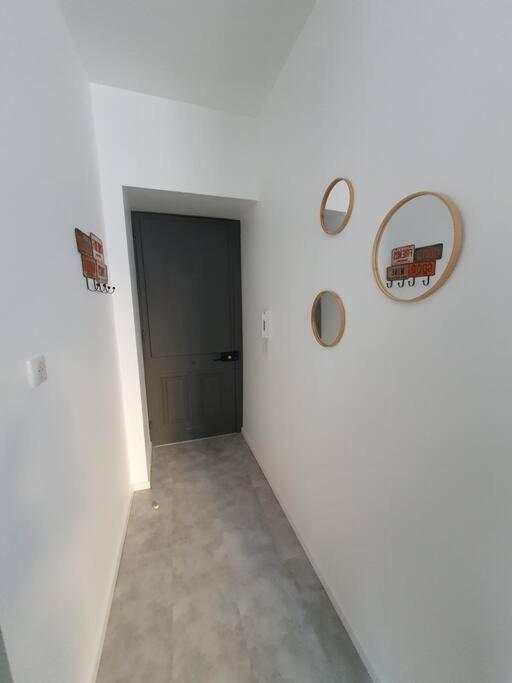Roanne Centre, Appartement Refait A Neuf. Esterno foto